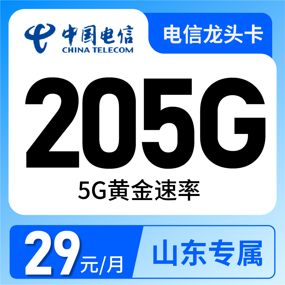 电信龙头卡29元
